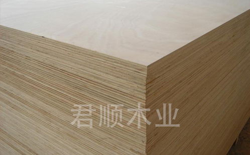 辽宁耐火板阻燃胶合板价格