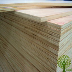 叶林同家具胶合板,杨木胶合板,桦木胶合板,BB CC级别