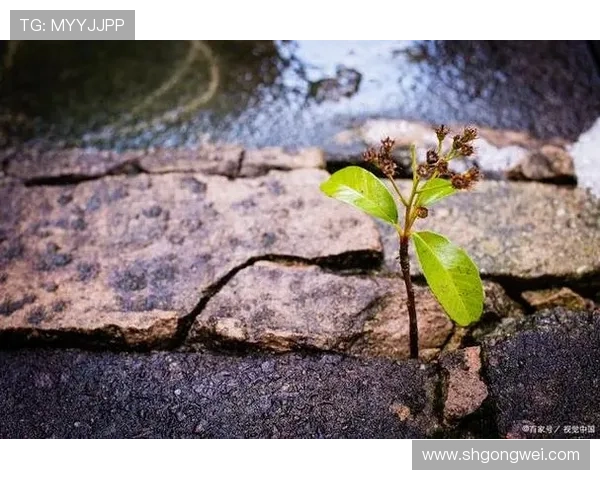 我们的不归路:一段命运交错的情感旅程与无法逃避的选择 我们的不归路:一段命运交错的情感旅程与无法逃避的选择