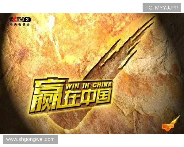 聚焦创业梦想与商战风云的赢在中国第三季励志商业真人秀故事 聚焦创业梦想与商战风云的赢在中国第三季励志商业真人秀故事