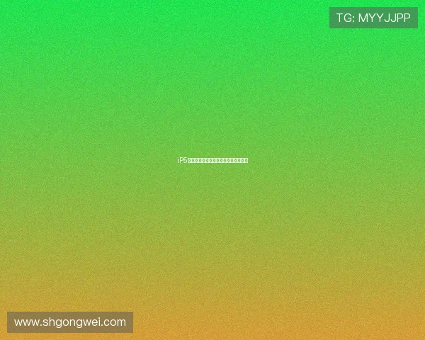 iP5图片：重温经典，定格永恒的时光胶囊